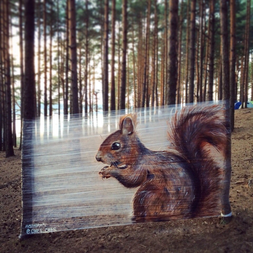 Cellograffiti squirrel